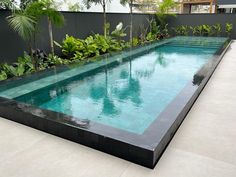 an empty swimming pool surrounded by greenery