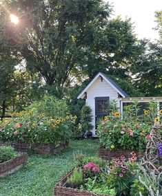 a garden with many different types of flowers and plants in the foreground, next to a shed