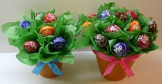 two potted plants with chocolate candies in them sitting next to each other on a table