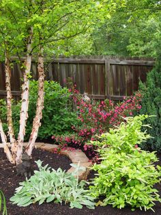 a garden with trees, shrubs and flowers in the foreground is a wooden fence