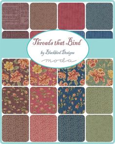 the book cover for threads that bind by bluebird designs, featuring many different patterns and colors