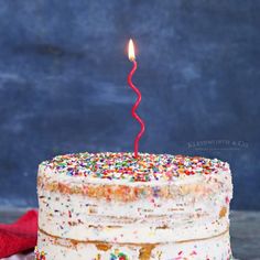 a birthday cake with sprinkles and a single candle