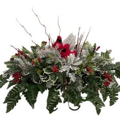 a red bird sitting on top of a plant with silver leaves and berries in it