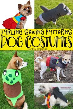 four different dog costumes with text overlay that reads, daring sewing patterns dog costumes