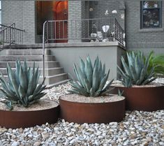 three planters with succulents in front of a house