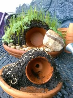 two clay pots with plants growing out of them