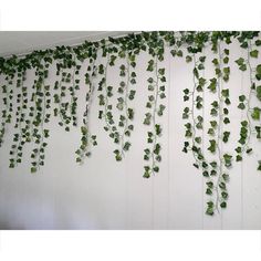 ivy growing on the side of a wall in front of a white wall with green leaves hanging from it