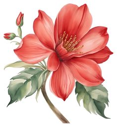 Cute Flower Drawing, Flower Png Images, Watercolor Vintage, Lovely Flowers Wallpaper, Watercolor Flower Art