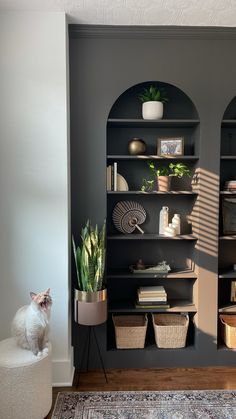 a cat sitting on a stool in front of a bookshelf filled with plants