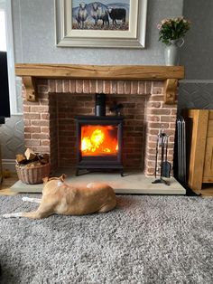 a dog laying on the floor in front of an open fire place with wood burning