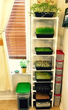 a shelf filled with potted plants in front of a window next to a trash can