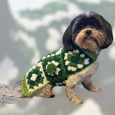 a small dog wearing a green sweater with white flowers on it's chest and tail