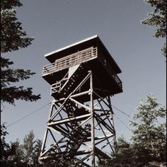 a tall metal tower sitting in the middle of a forest