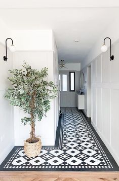 a potted plant sitting on top of a black and white tiled floor next to a doorway