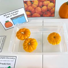 three pumpkins in a plastic container on top of a white table next to an orange pumpkin