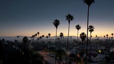 palm trees are silhouetted against the sunset on a street in los angeles, california