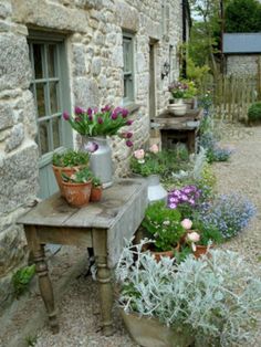 several potted plants sit on an old table in front of a stone building with shutters