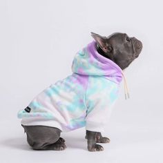 a small dog wearing a tie dye hoodie