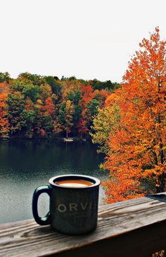 a cup of coffee sitting on top of a wooden table next to a forest filled with trees