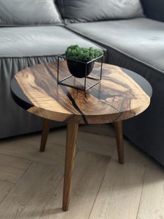 a table with a potted plant sitting on top of it next to a couch