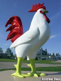 a large white and red rooster statue