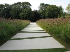 a walkway made out of stepping stones in the middle of grass and bushes on either side