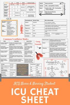 Memes Nursing, Nursing Pictures, Nursing Information, Funny Nursing, Nurse Study Notes, Nursing Mnemonics, Cardiac Nursing, Nursing School Survival