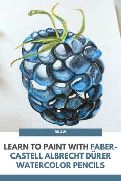 a drawing of a blue berry with the words learn to paint with faber - castel albrecchit durer watercolor pencils