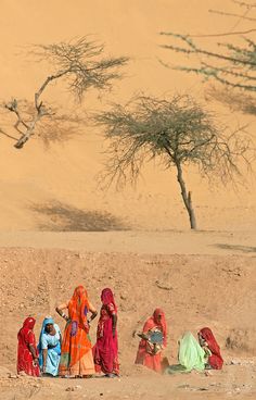 four women in colorful saris are sitting on the sand near some trees and bushes