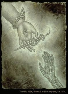 a drawing of a hand holding a flower with another hand reaching for the flower on it