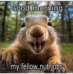 a squirrel with its mouth open and the words good morning my fellow nut jobs