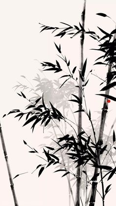 black and white photograph of bamboo trees with red dot in the middle, on light grey background