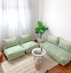 a living room filled with furniture and a potted plant