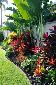 a garden with lots of different types of plants