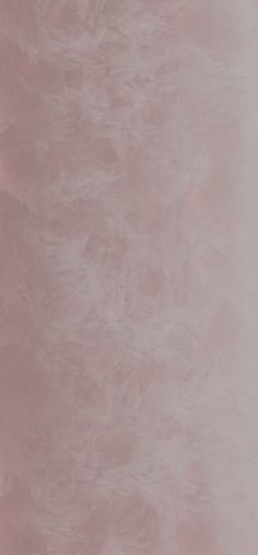 a pink background with white feathers on it