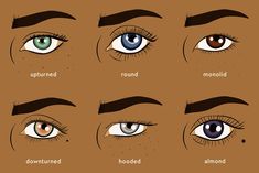 Eye Shape Chart, Almond Shaped Eyes, 얼굴 그리기, Best Makeup Tips, Bedroom Eyes, Round Eyes