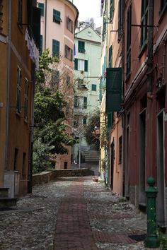 an alley way with several buildings on both sides and trees in the middle, surrounded by cobblestones