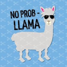 a llama with sunglasses and the words no prob - llama on it