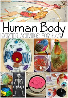 a collage of different activities for kids to do with their body and brain parts