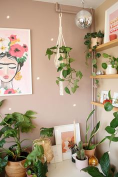 some plants are hanging on the wall in a room with pink walls and wooden shelves