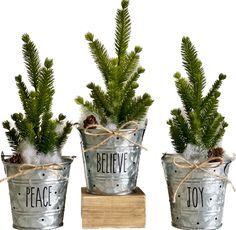 three metal buckets with christmas trees in them and the words, believe, joy