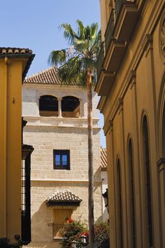 an old building with palm trees in the foreground and another building on the other side