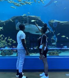 two people standing in front of an aquarium looking at fish