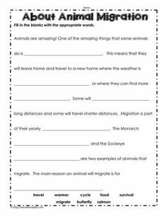 an animal worksheet with the words about animals