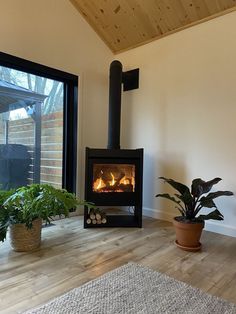 a living room with a fire place and potted plants on the floor next to it