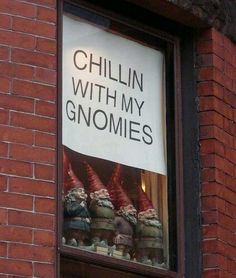 there is a sign that says chillin with my gnomes on the window sill