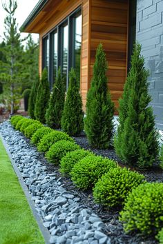 a long row of green bushes next to a house