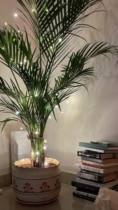 a potted plant sitting on top of a table next to a pile of books