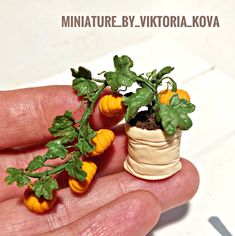 a miniature plant is growing out of a tiny potted plant in someone's hand