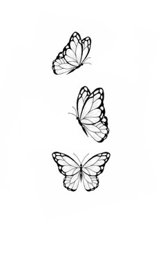 three butterflies flying in the air with one on top of it's head and another on